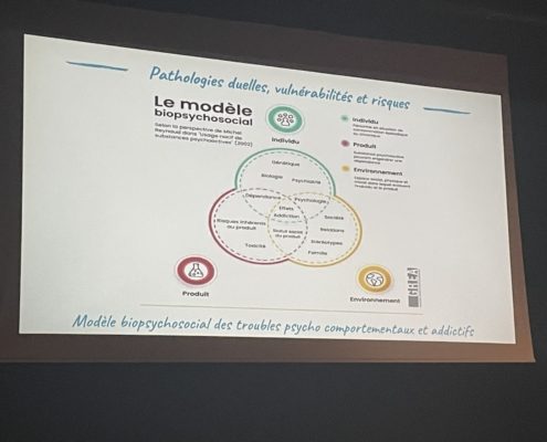 d597ab56-d3dc-4646-bdce-11a6b44330ae